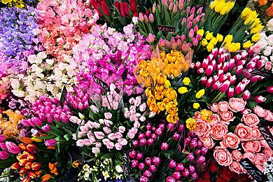 沙特王储公司收购瑞典公司Embracer 8%的股份